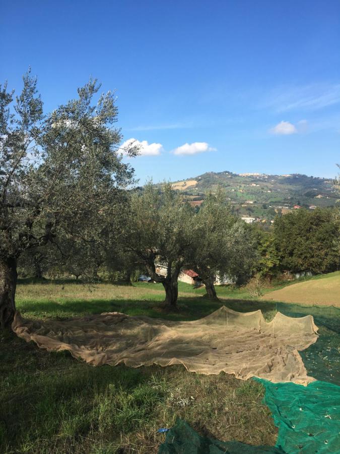 B&B La Casa Di Giuliana Cermignano エクステリア 写真