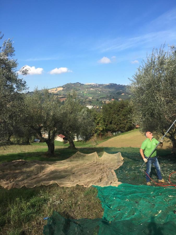 B&B La Casa Di Giuliana Cermignano エクステリア 写真