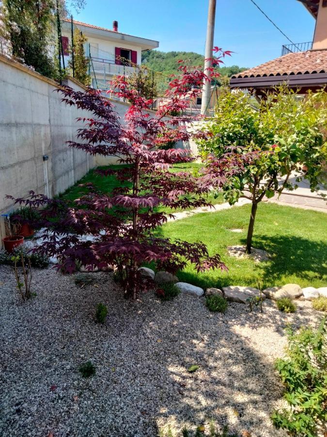 B&B La Casa Di Giuliana Cermignano エクステリア 写真